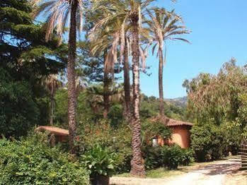 Le Palme Garden Villa San Giorgio  Exterior photo